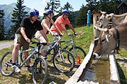 lassen sie es sportlich angehen, z.B. mit einem Ausflug per Mountainbike auf eine Alm (Foto: Marikka-Laila Maisel)